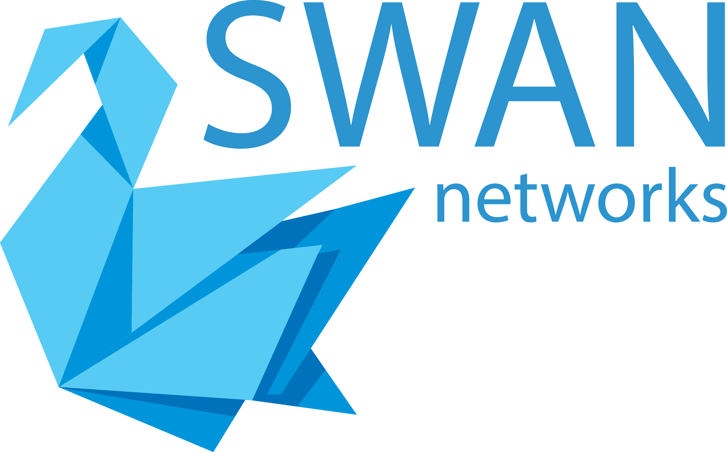Swan Networks
